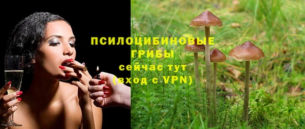 PSILOCYBIN Белоозёрский